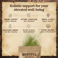 Rootful Greens & Superfoods - suport holistic pentru binele tău