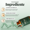 ROOTFUL Full-gut, ingrediente: culturi de Lactobacillus, bromelaina si papaina, fibre prebiotice FOS