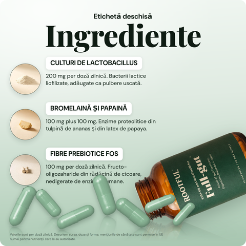 ROOTFUL Full-gut, ingrediente: culturi de Lactobacillus, bromelaina si papaina, fibre prebiotice FOS