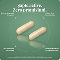 ROOTFUL Full-gut, sapte active: enzime din ananas si papaya, culturi vii de Lactobacillus, fibre prebiotice din cicoare