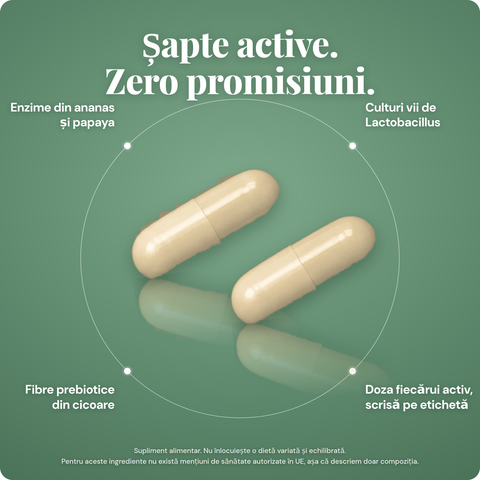 ROOTFUL Full-gut, sapte active: enzime din ananas si papaya, culturi vii de Lactobacillus, fibre prebiotice din cicoare