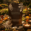 ROOTFUL Ashwagandha KSM-66 Gummies pouch on mossy ground with candle, dried flowers, turmeric and withania root – stress relief ritual