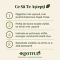 Infografic ROOTFUL — Ce Să Te Aștepți: timeline rezultate Week 1 digestie ușoară, Week 2 poftă de dulce scade, Week 4 hainele se potrivesc altfel, Week 8 rezultate vizibile. Oțet de Mere + Kombucha Gummies.