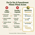 Infografic ROOTFUL — De Ce Nu A Funcționat Nimic Până Acum: comparație Oțet Lichid vs Pastile vs ROOTFUL Gummies cu beneficii și dezavantaje pentru fiecare.