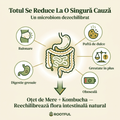 Infografic ROOTFUL — Totul Se Reduce La O Singură Cauză: microbiom dezechilibrat cauzează balonare, poftă de dulce, greutate în plus, oboseală, digestie greoaie. Soluția: Oțet de Mere + Kombucha.