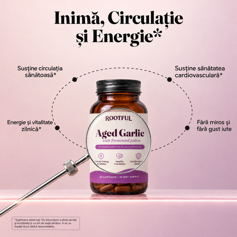 Inimă, circulație și energie: beneficiile ROOTFUL Aged Garlic