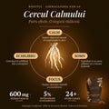 Infografic ROOTFUL Ashwagandha KSM-66 — Cercul Calmului. Cele patru efecte ale ashwagandhei asupra organismului: calm, somn, focus și echilibru. Susține răspunsul natural la stres, contribuie la un somn odihnitor, claritate mentală și echilibru fizic și emoțional. Conține 600mg extract KSM-66 standardizat la 5% withanolide, susținut de peste 24 de studii clinice. Adaptogen tradițional fabricat în România.