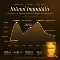 Infografic ROOTFUL Vitamina C + Zinc + D3 — graficul ritmului imunitar al organismului pe parcursul unei zile, arătând absorbția vitaminei C dimineața, activarea zincului la prânz și reglarea imunitară prin vitamina D3 seara. Doze: 500mg Vitamina C, 22.74mg Zinc, 1600 UI Vitamina D3, 50mg Măceș. Fabricat în România.
