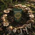 ROOTFUL Superblend greens and superfoods powder 300g dark green pouch surrounded by wild forest mushrooms on natural forest floor